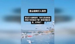 热点爆料唐山打人视频,现场视频曝光，暴力冲突引发社会关注